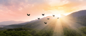 August Dzogchen Retreat, 2026